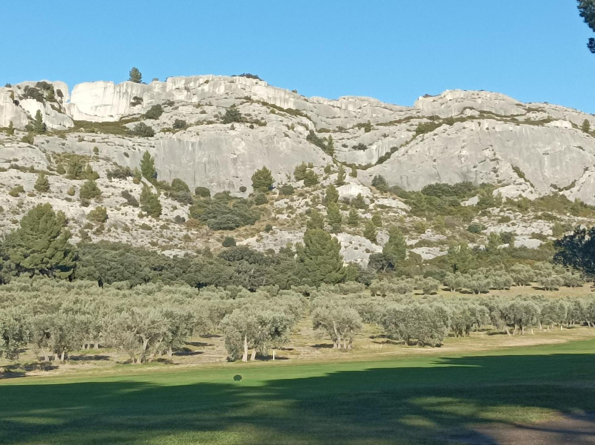 Chambre D'Hote Au Coeur Des Alpilles Mouries Eksteriør bilde